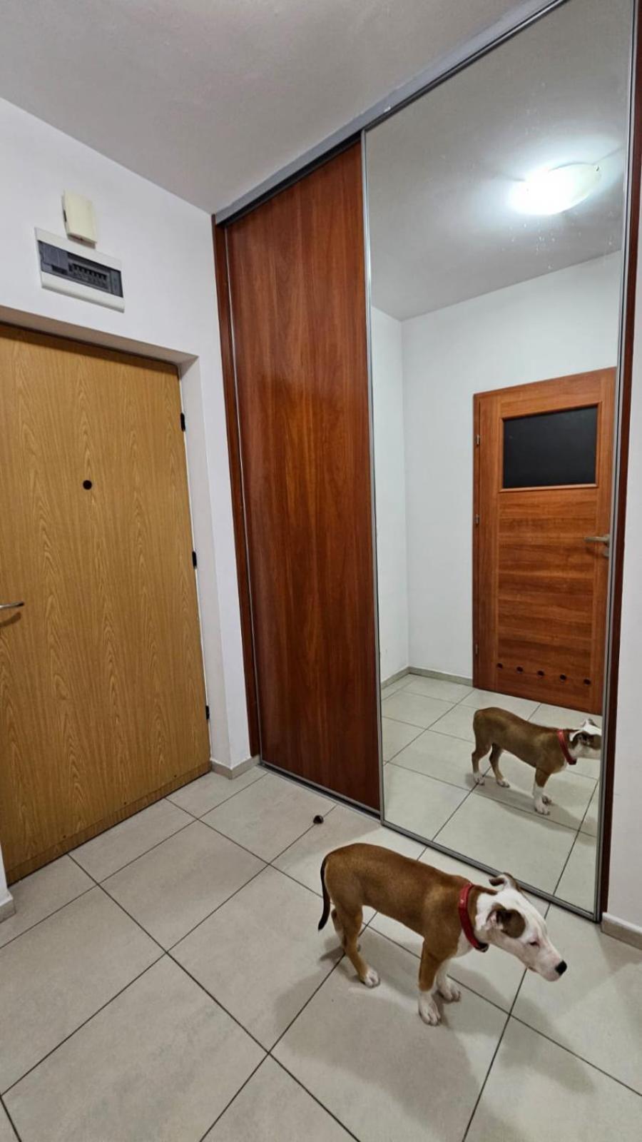 Apartament Lipinskiego Cracóvia Exterior foto