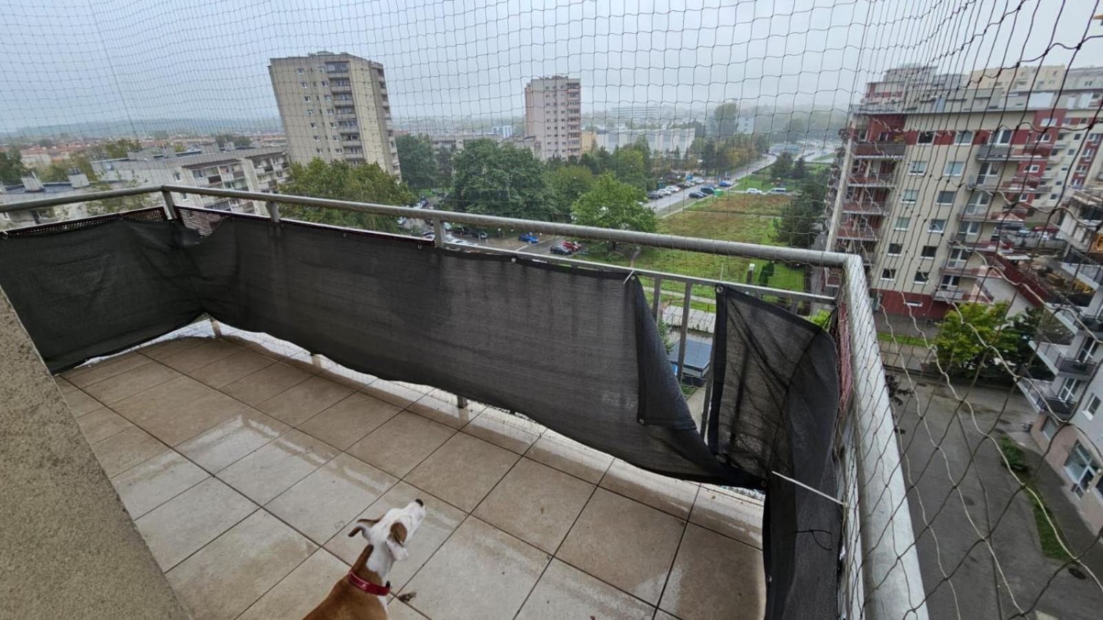 Apartament Lipinskiego Cracóvia Exterior foto